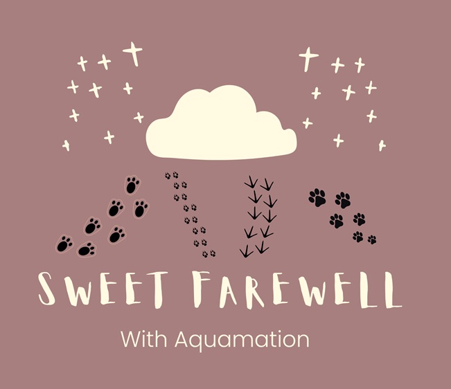 Sweet Farewell with Aquamation logo: a soft cream cloud with sparkles and gentle paw prints falling beneath