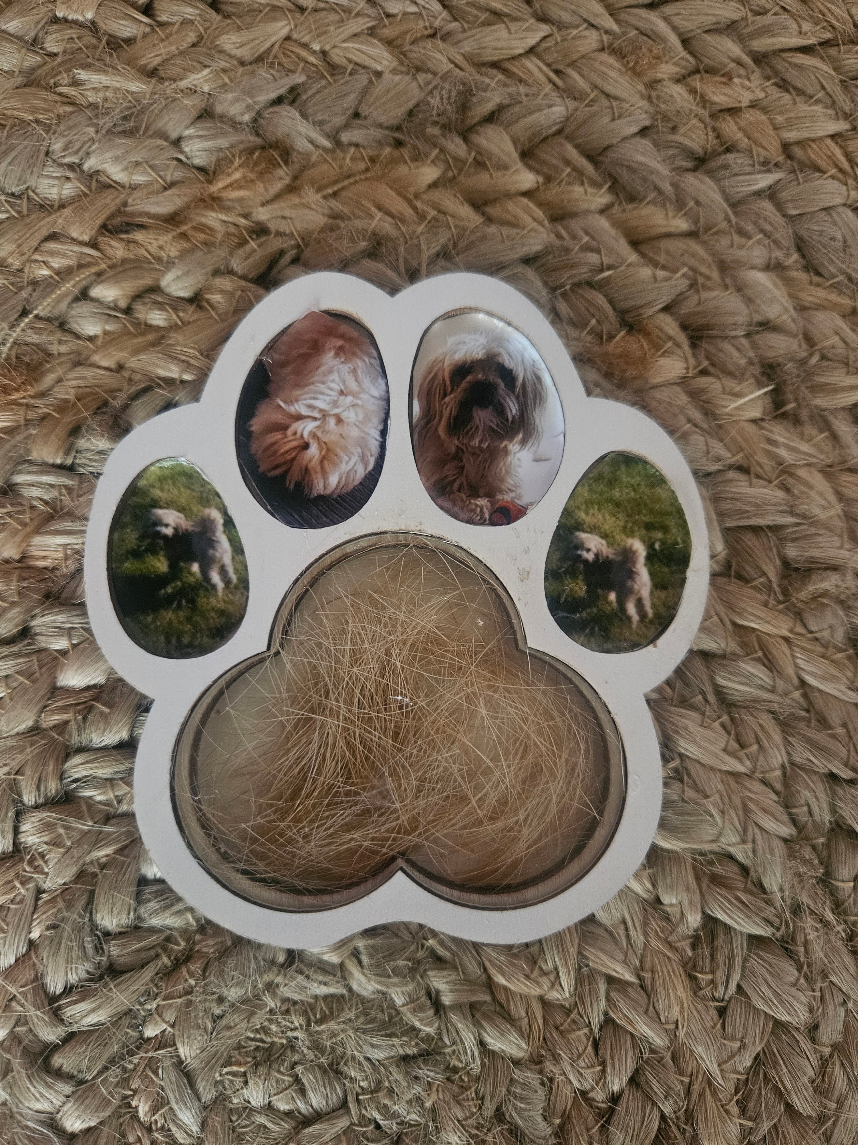 Paw Print Photo & Fur Keepsake