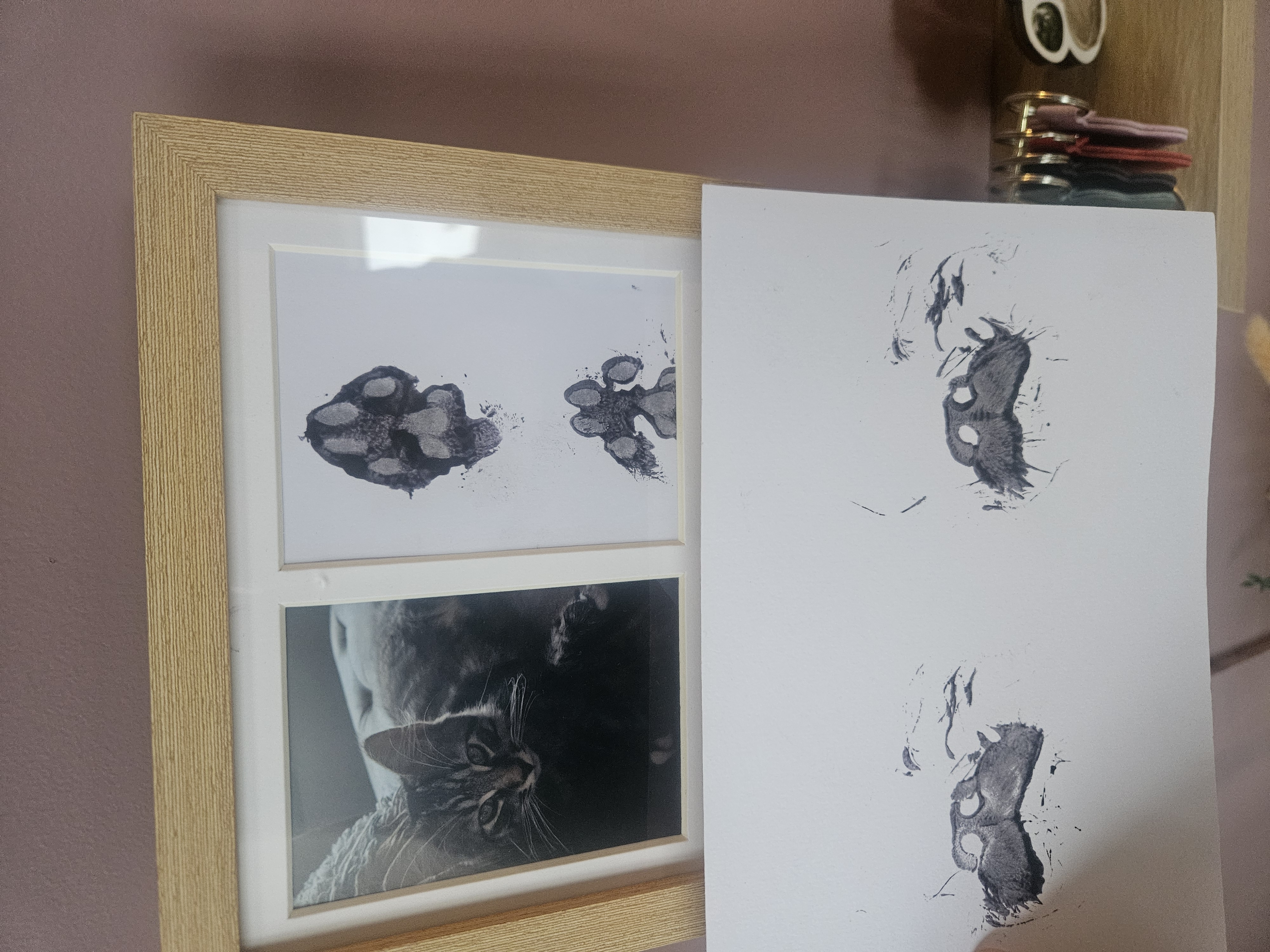 Photo with Paw or Single Print